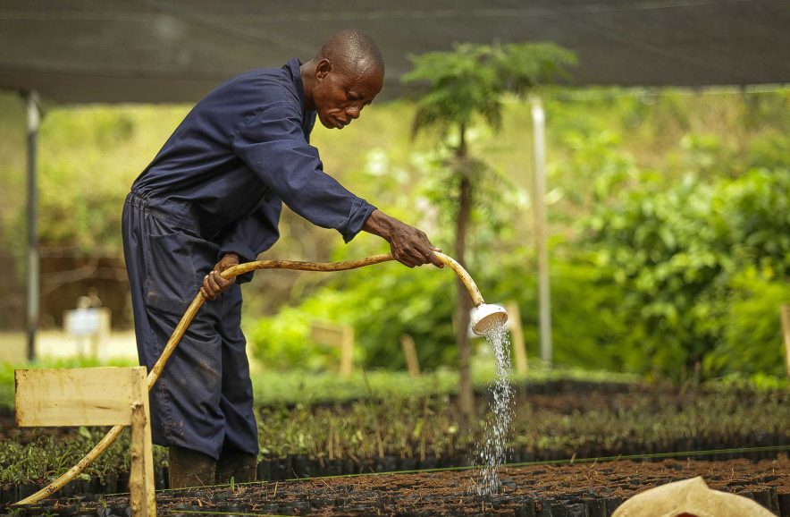 shared-belief-sarah shared-belief-sarah